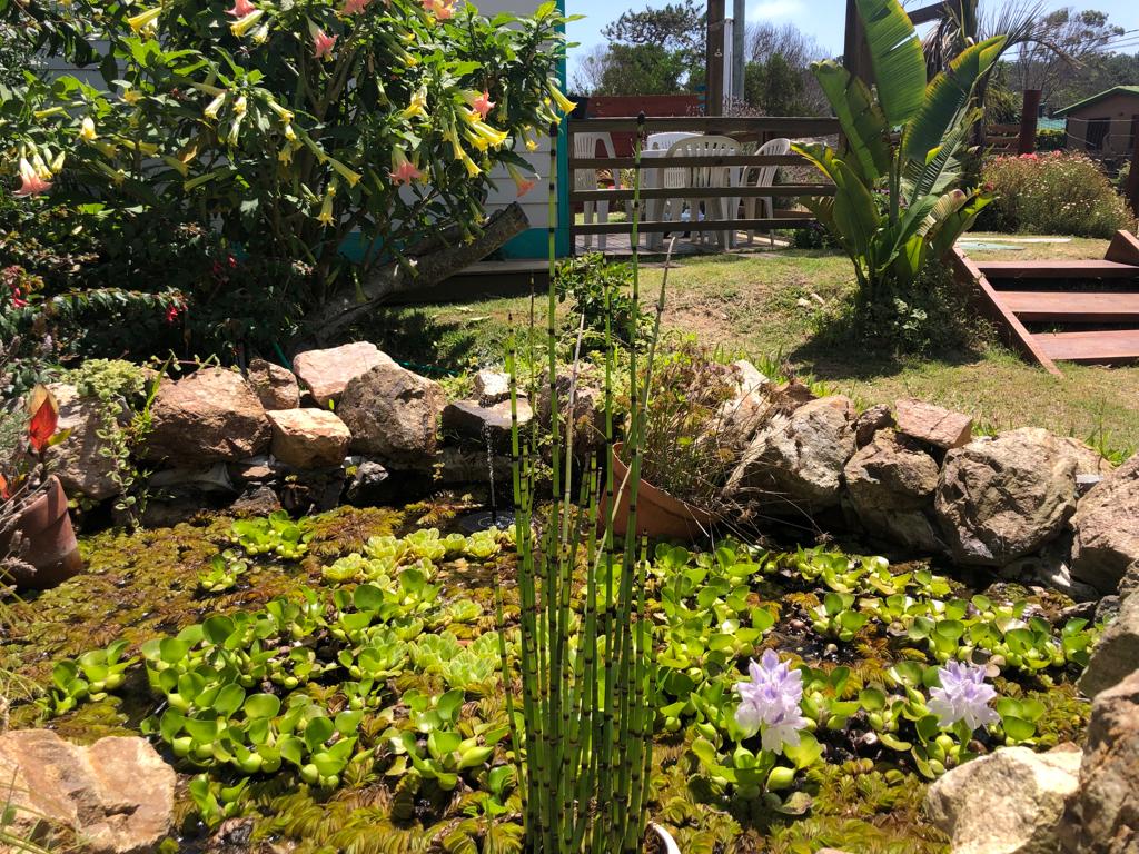 Casa Franca — foto 10