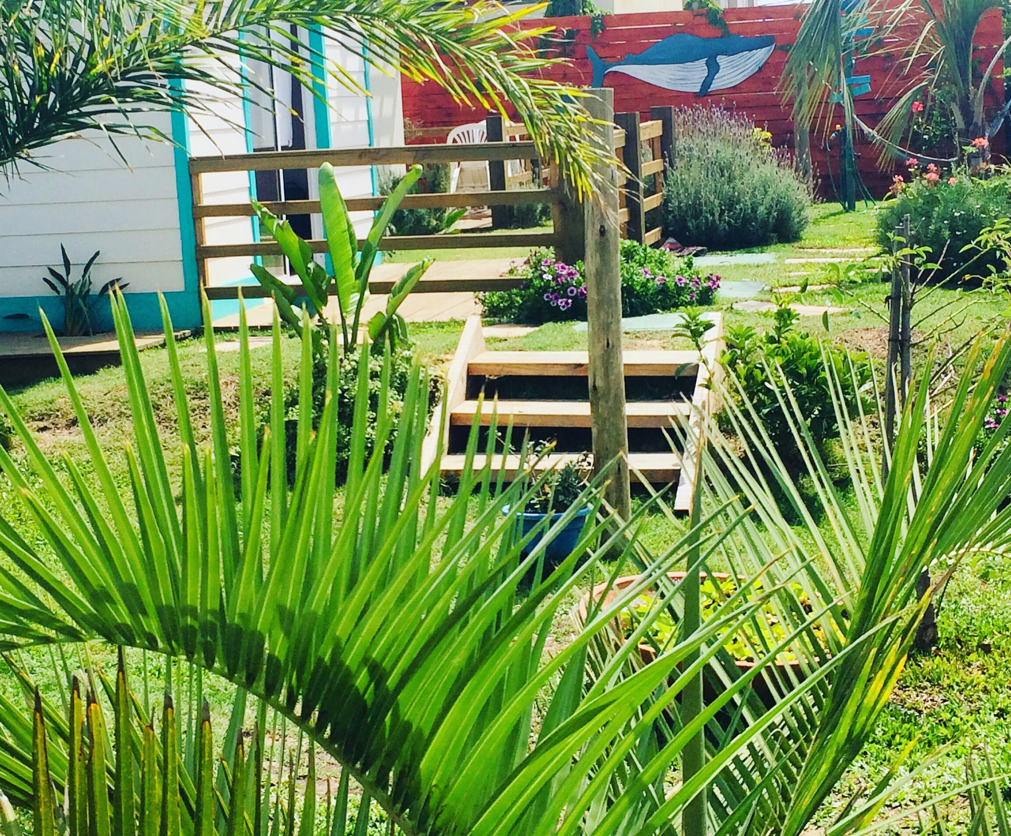 Casa Franca — foto 3