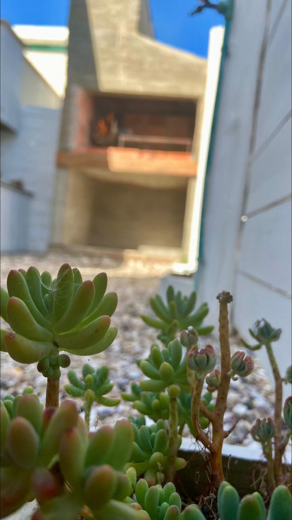 Casa Olas — foto 8